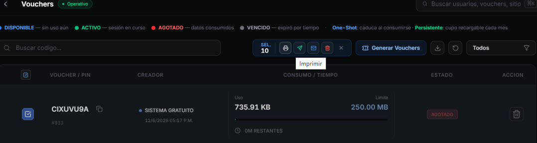Vista previa de impresión de vouchers en formato de tickets